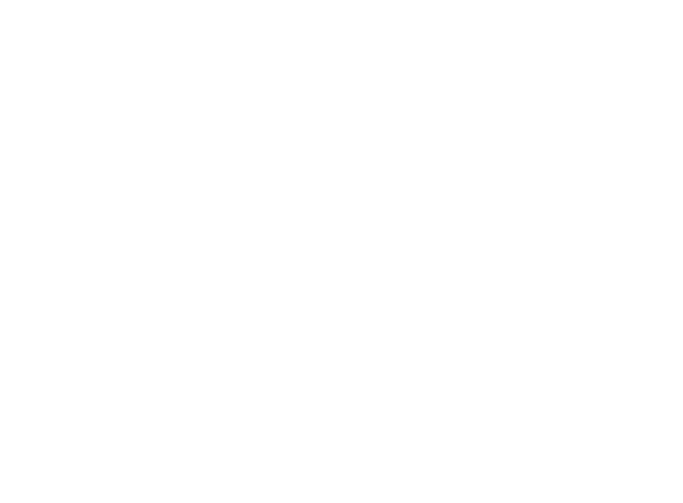 Michal Hirt